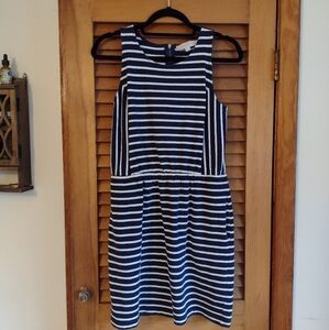 Loft striped dress medium petite